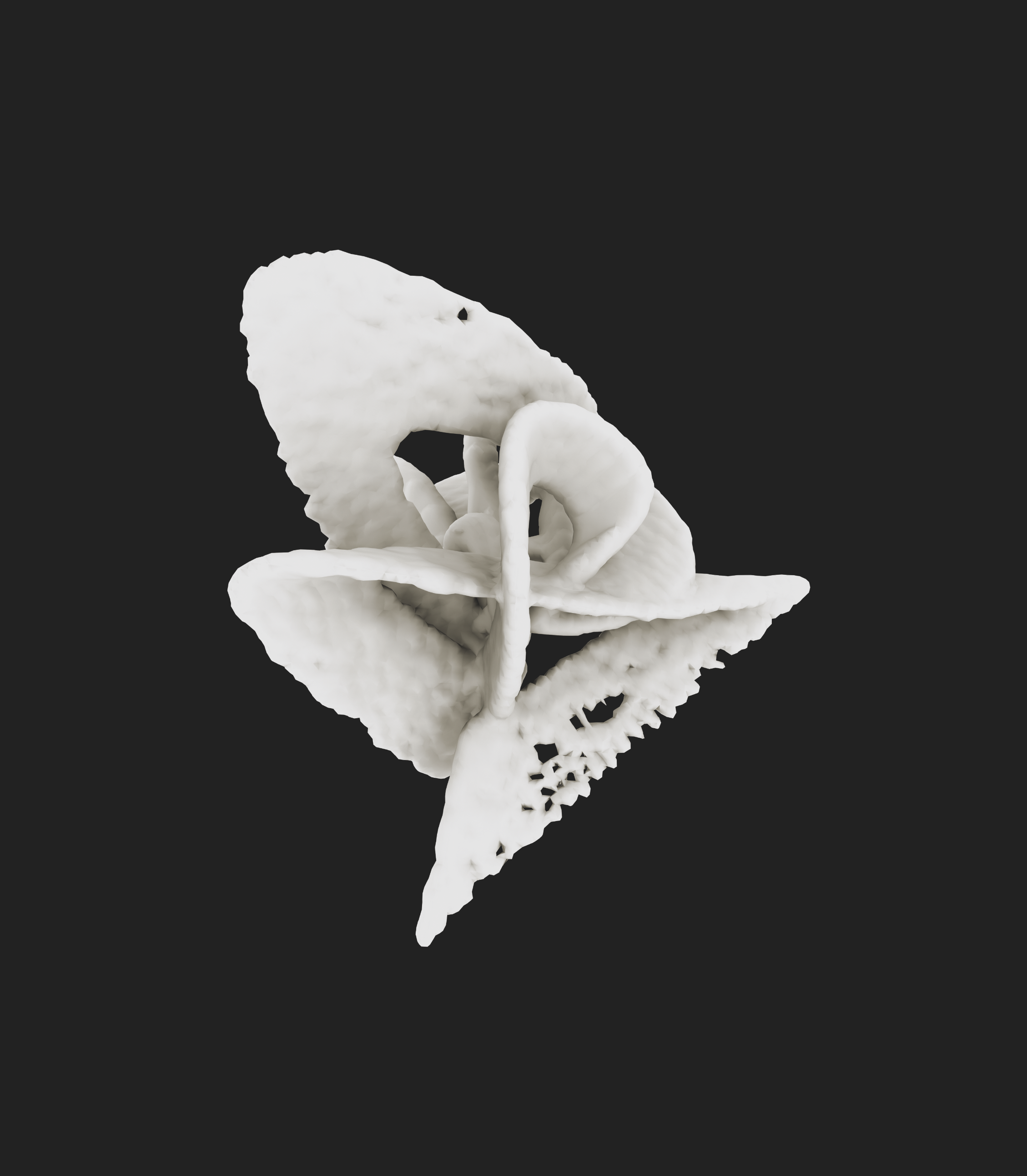Generative form iterations